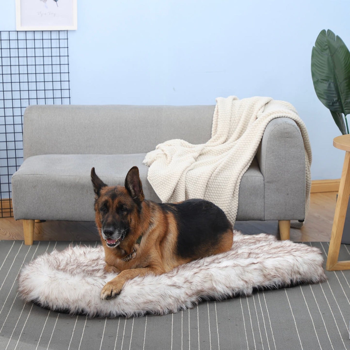 Faux Fur "Paws" Bed - Premium "Paws" Bed from Tailored Gents, Tots 'N Paws - Just $185.98! Shop now at Tailored Gents, Tots 'N Paws
