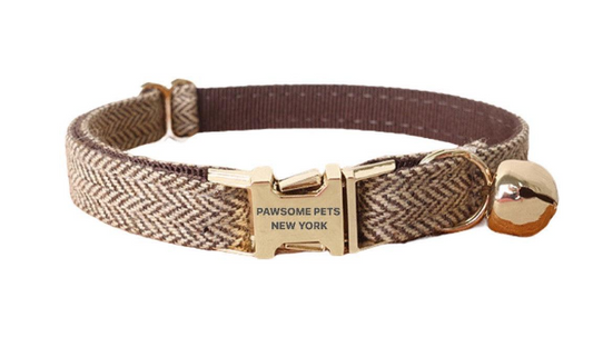 "Paws" Decorative Collar - Premium "Paws" Collar from Tailored Gents, Tots 'N Paws - Just $25! Shop now at Tailored Gents, Tots 'N Paws