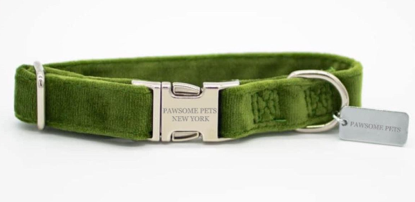 "Paws" Decorative Collar - Premium "Paws" Collar from Tailored Gents, Tots 'N Paws - Just $25! Shop now at Tailored Gents, Tots 'N Paws