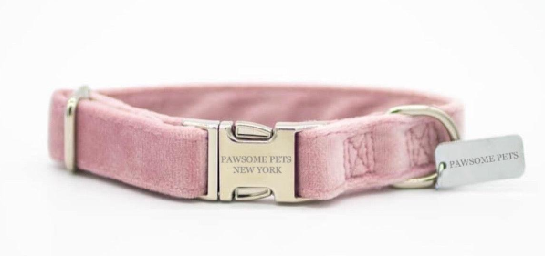 "Paws" Decorative Collar - Premium "Paws" Collar from Tailored Gents, Tots 'N Paws - Just $25! Shop now at Tailored Gents, Tots 'N Paws