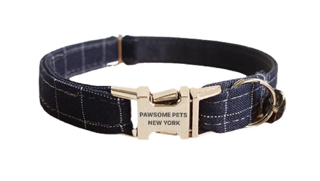 "Paws" Decorative Collar - Premium "Paws" Collar from Tailored Gents, Tots 'N Paws - Just $25! Shop now at Tailored Gents, Tots 'N Paws