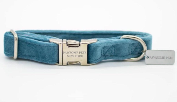 "Paws" Decorative Collar - Premium "Paws" Collar from Tailored Gents, Tots 'N Paws - Just $25! Shop now at Tailored Gents, Tots 'N Paws