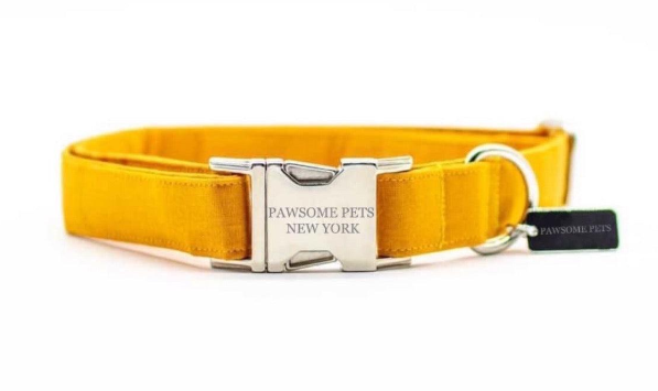 "Paws" Decorative Collar - Premium "Paws" Collar from Tailored Gents, Tots 'N Paws - Just $25! Shop now at Tailored Gents, Tots 'N Paws