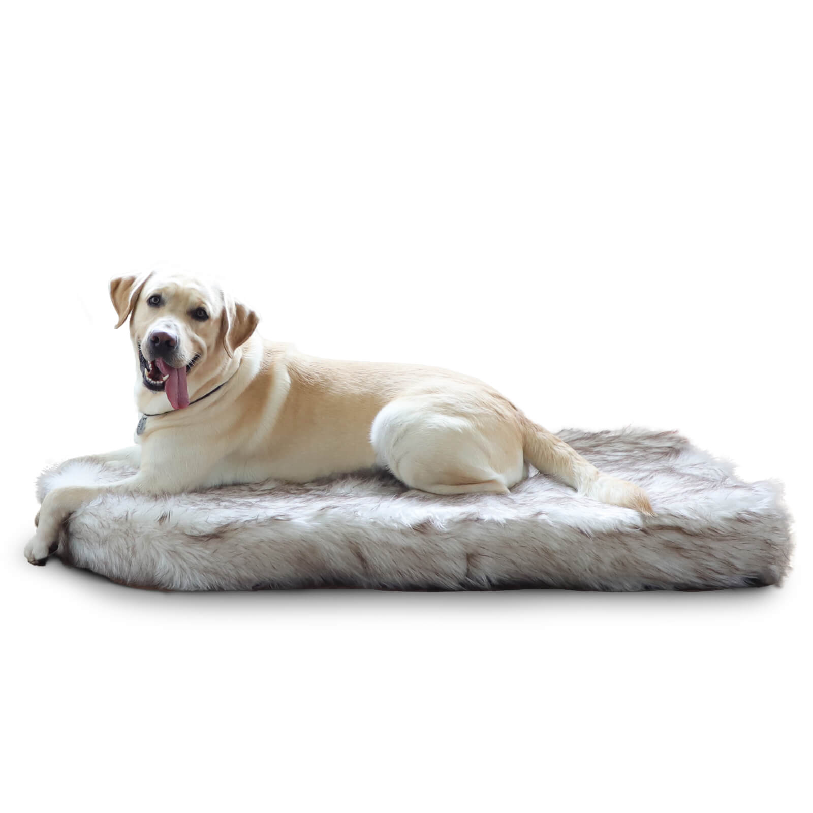 Faux Fur "Paws" Bed: The Ultimate "Paws" Bed for 2024 – Tailored