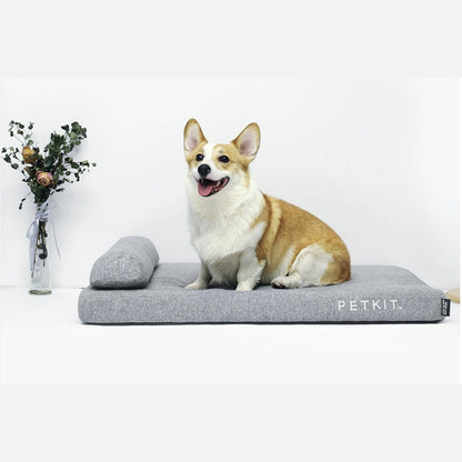 Deep Sleep Orthopedic "Paws" Bed - Premium "Paws" Bed from Tailored Gents, Tots 'N Paws - Just $77.98! Shop now at Tailored Gents, Tots 'N Paws